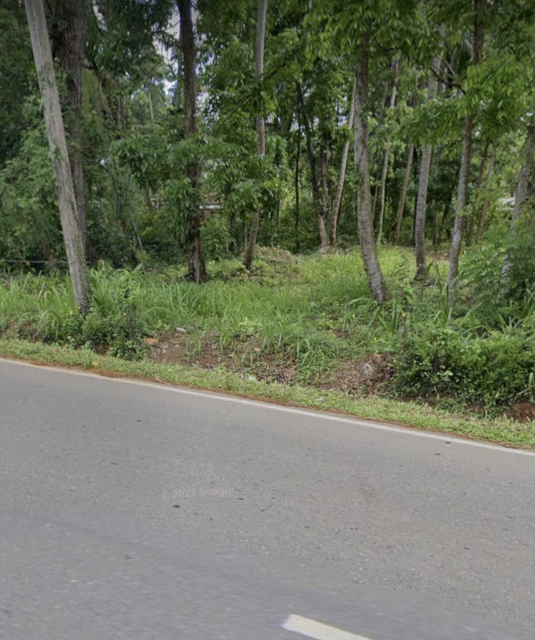 Land For Sale In Dewalegama