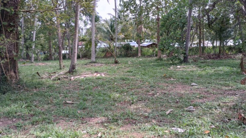 Commercial Land for Sale in Wariyapola. - Image 8