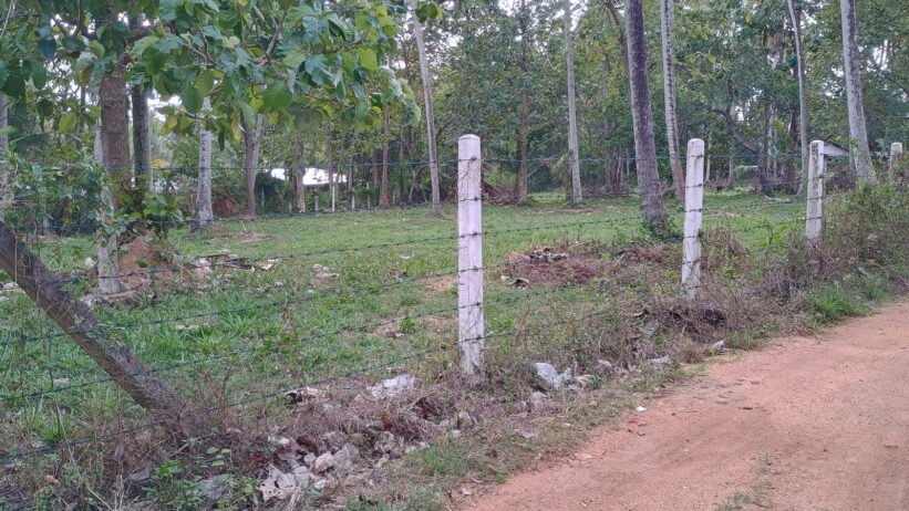 Commercial Land for Sale in Wariyapola. - Image 6