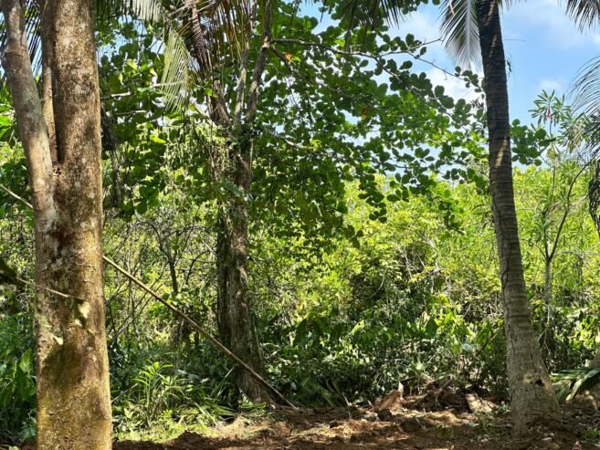 Land With House For Sale In Kalutara - Image 5