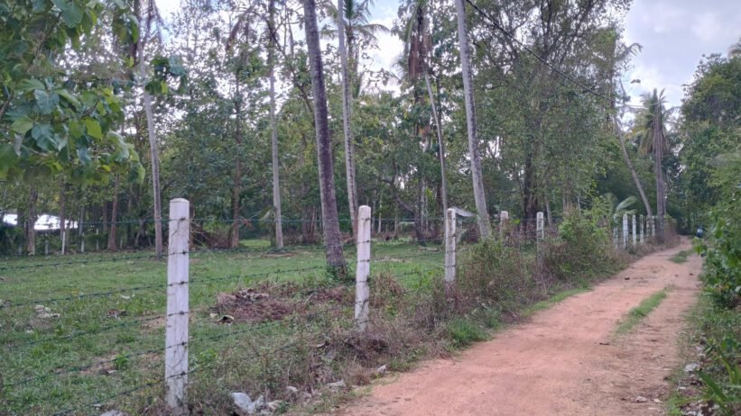 Commercial Land for Sale in Wariyapola. - Image 5