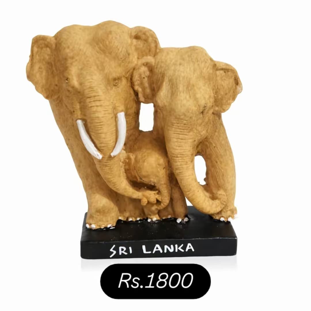 Handmade Sri Lankan fridge magnets and souvenirs - Image 8