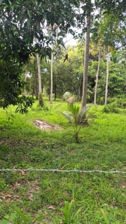 Commercial Land for Sale in Wariyapola. - Image 4