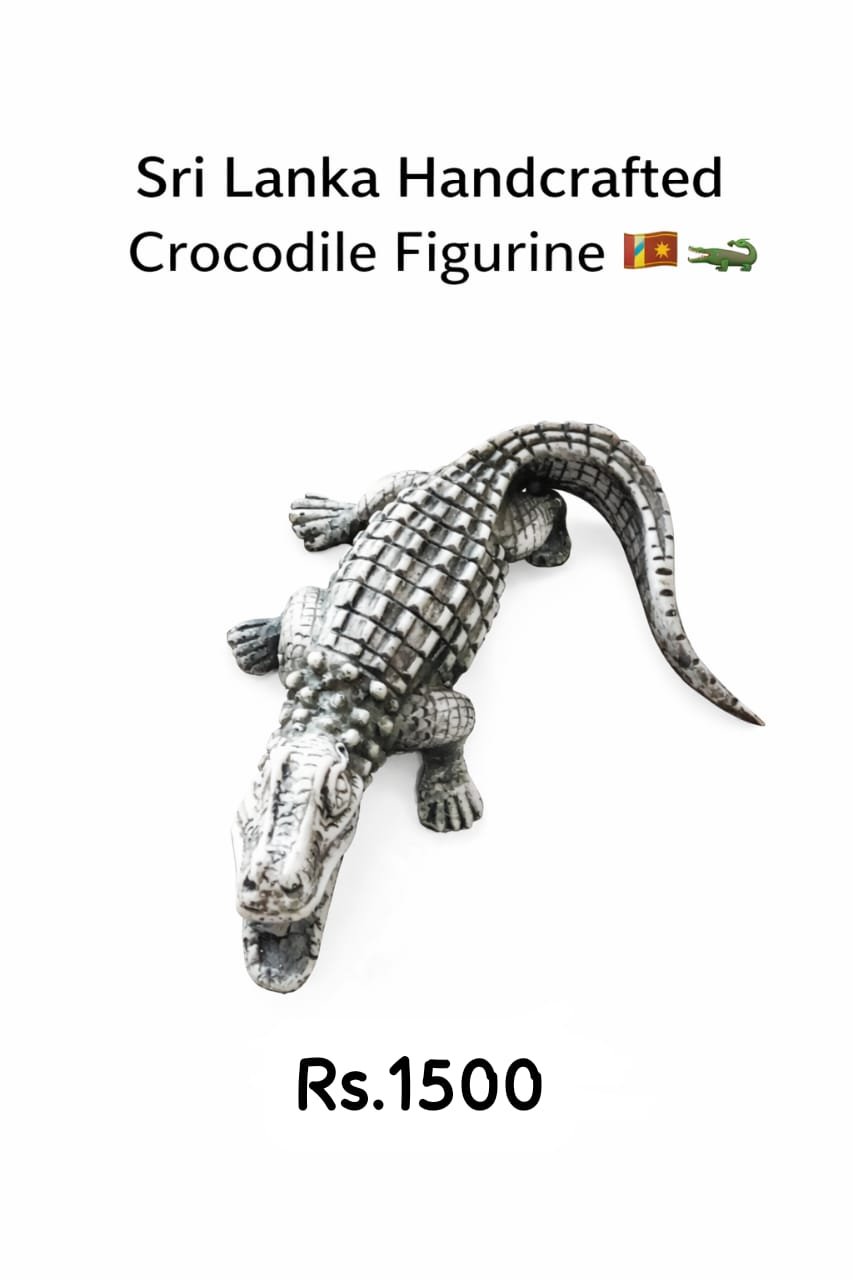 Handmade Sri Lankan fridge magnets and souvenirs - Image 5