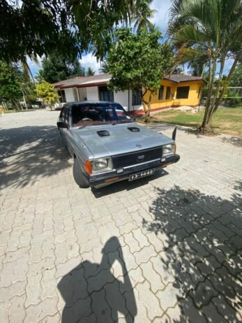 Nissan Sunny 1984 - Image 4