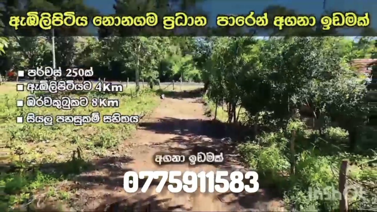 රත්නපුර දිස්ත්‍රික්කයේ වටිනා ඉඩමක් - Image 4