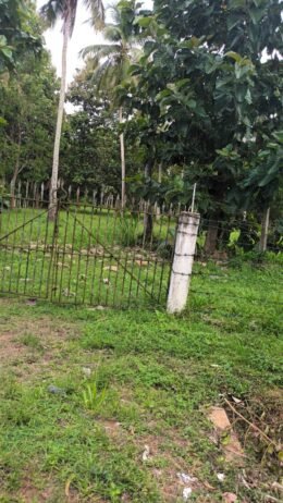Commercial Land for Sale in Wariyapola. - Image 3