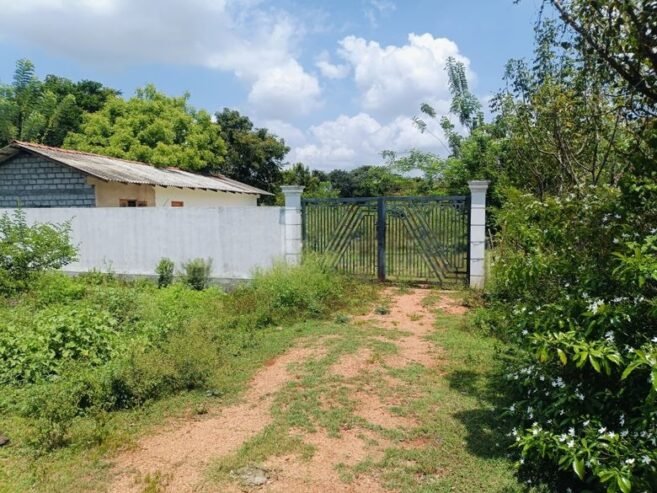 Land for Sale Vavuniya